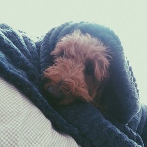 Meet your Posher, Ji